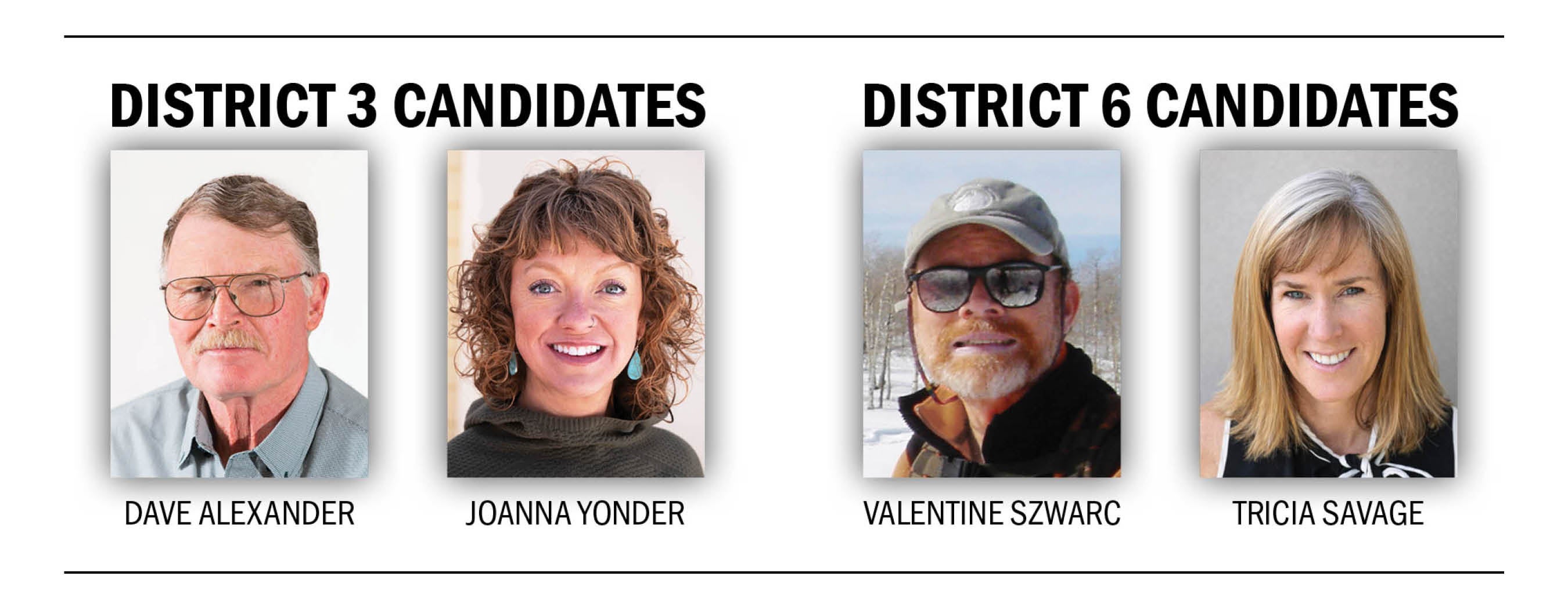 District 3 and District 6 Candidate Portraits