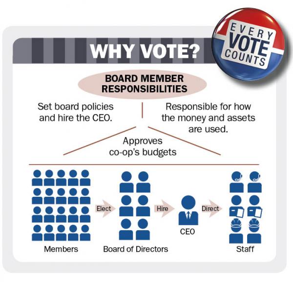 Election Info. Why Vote?