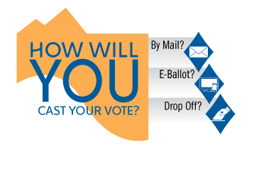 Voting Options Graphic