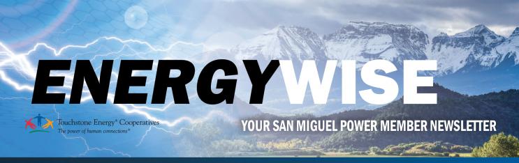 Energy Wise Newsletter