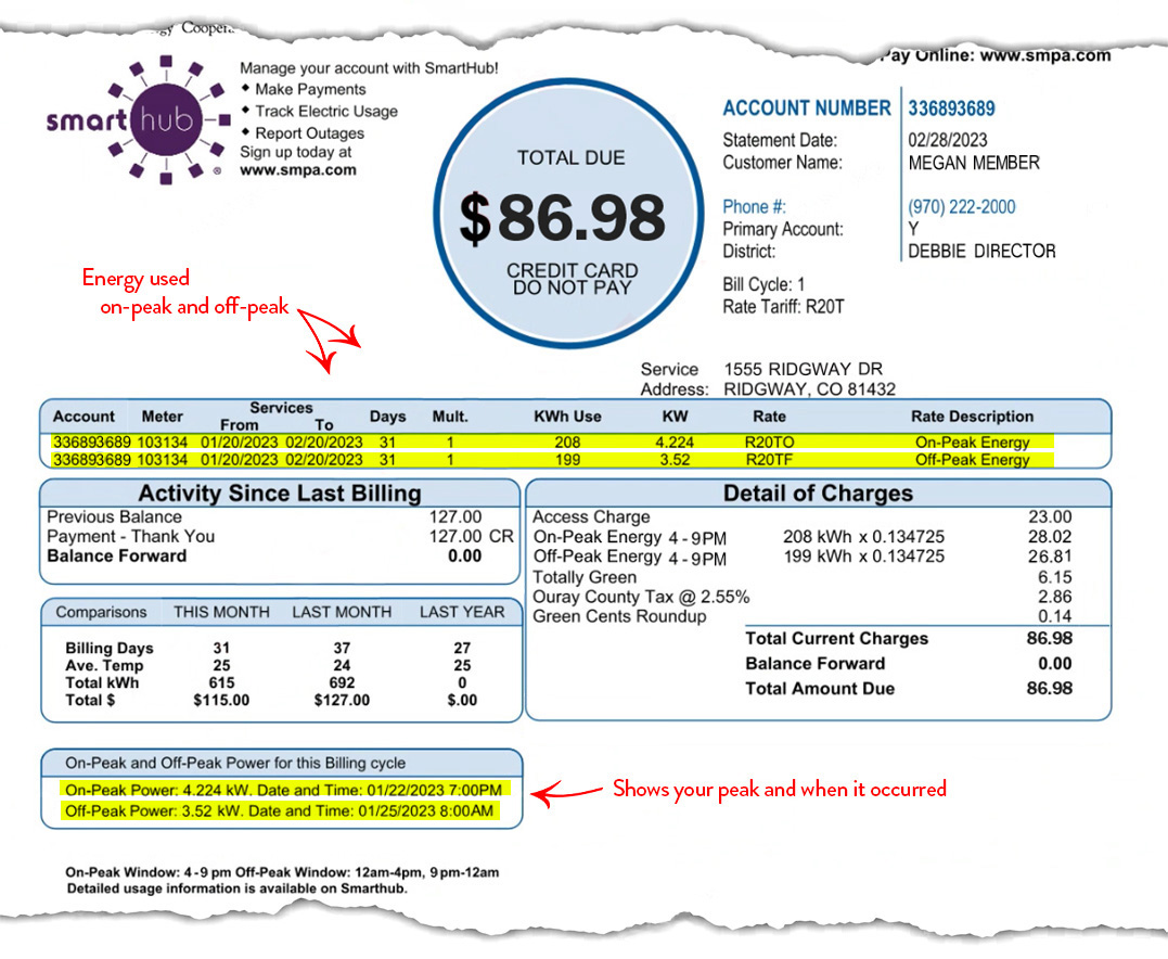 A mock bill showing the new time-based data fields