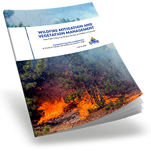 CREA Wildfire Mitigation and Vegetation Management Report