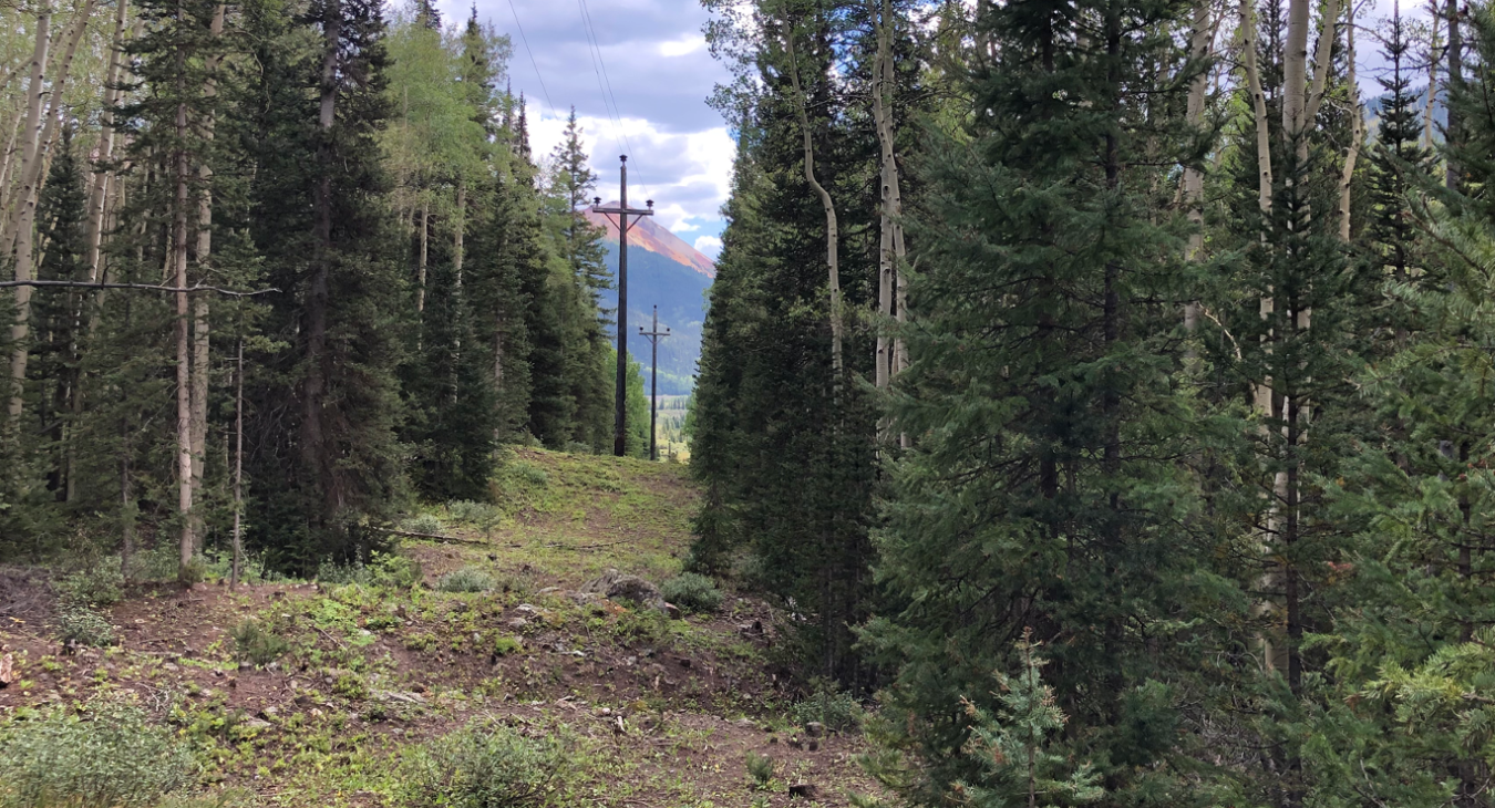 The Red Mountain Transmission Line