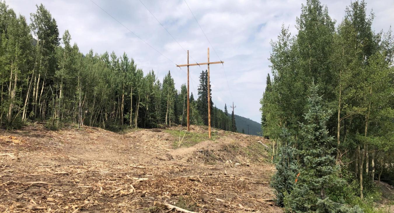 An Electrical Right of Way cleared of hazard vegetation.